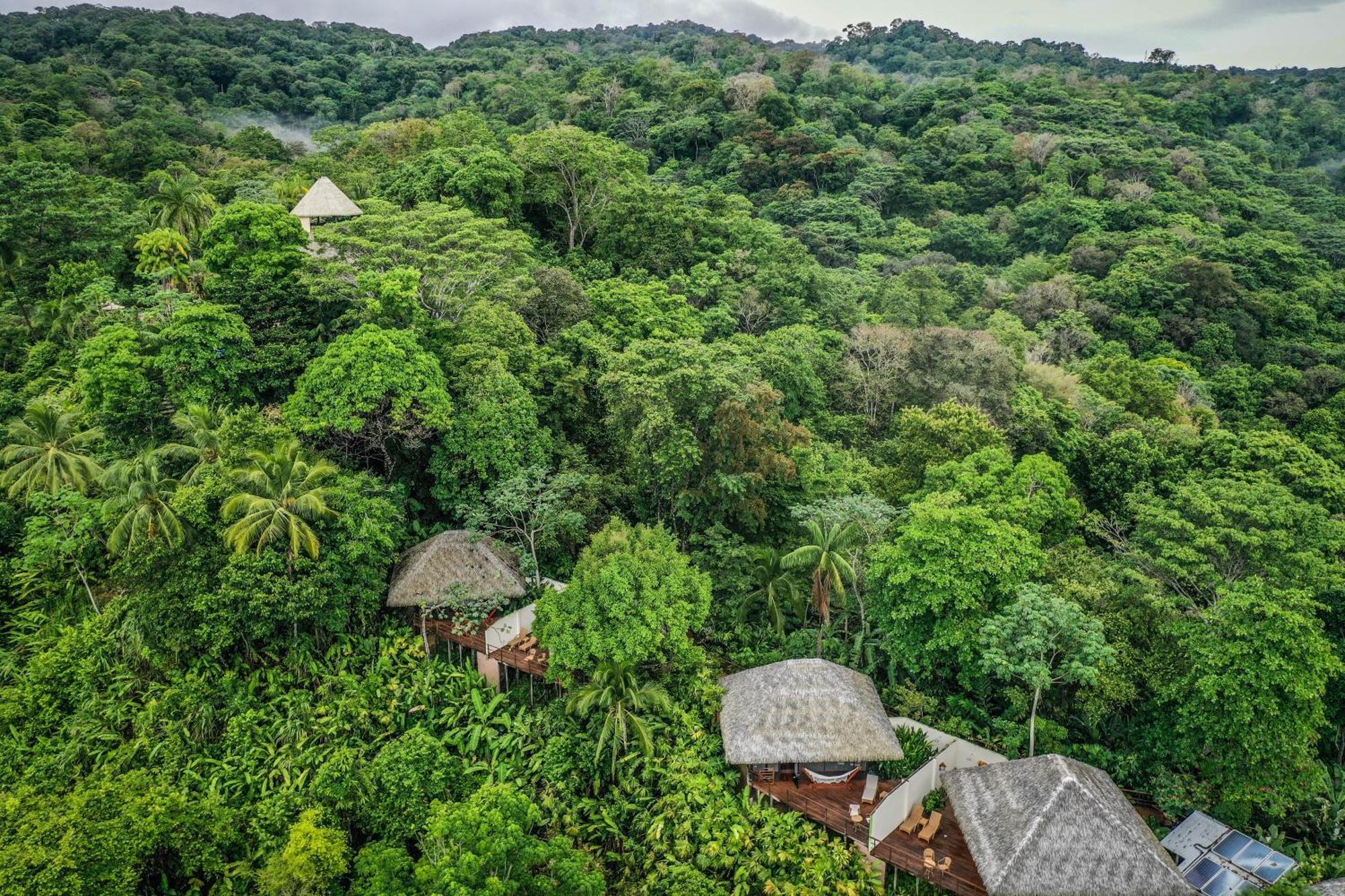 Lapa Rios Lodge By Boeena Puerto Jiménez Exteriör bild