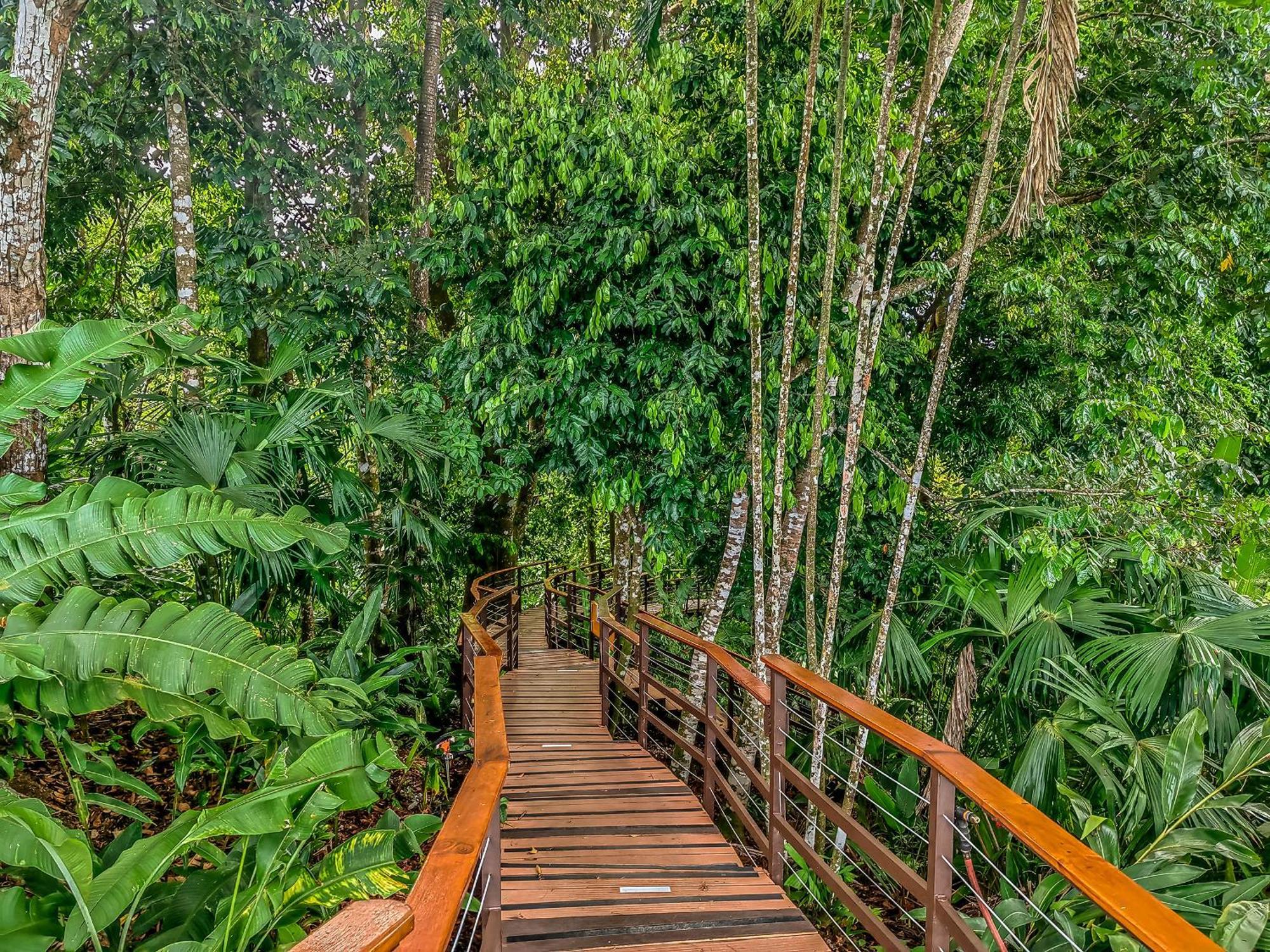 Lapa Rios Lodge By Boeena Puerto Jiménez Exteriör bild