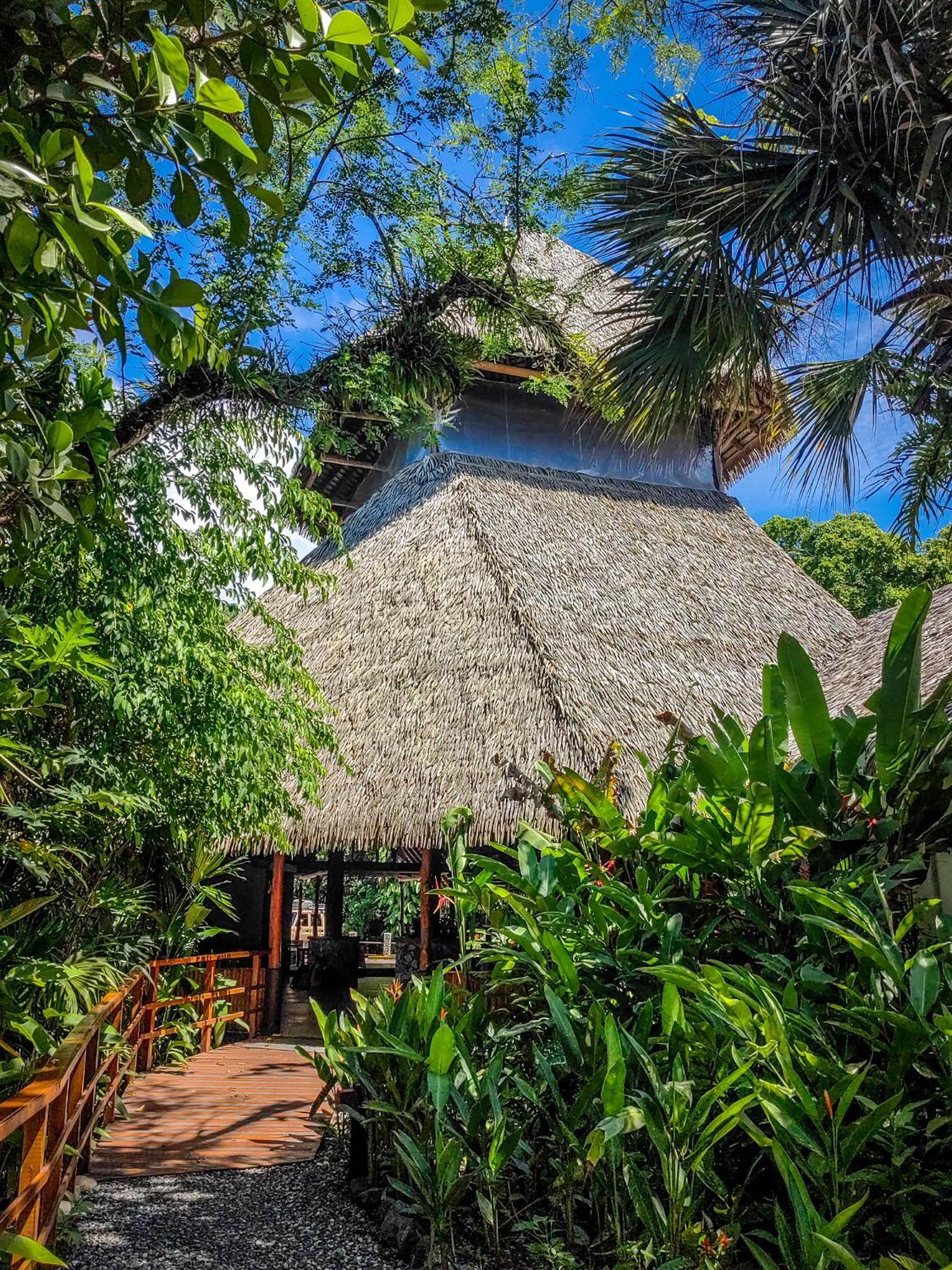 Lapa Rios Lodge By Boeena Puerto Jiménez Exteriör bild